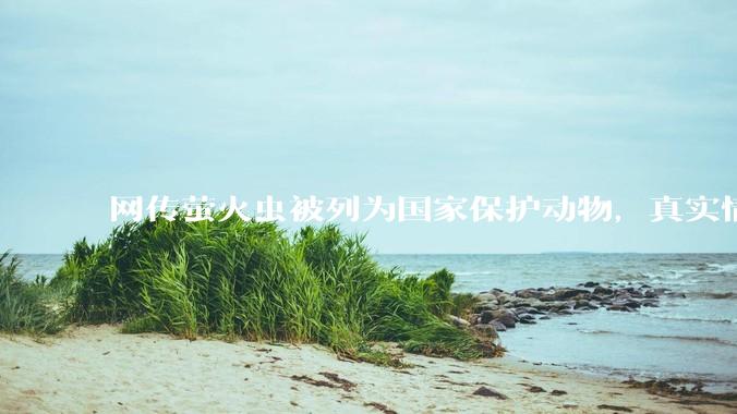 网传萤火虫被列为国家保护动物，真实情况如何？曾经农村随处可见为何变得罕见了？