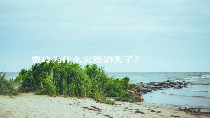 贾玲为什么突然消失了？
