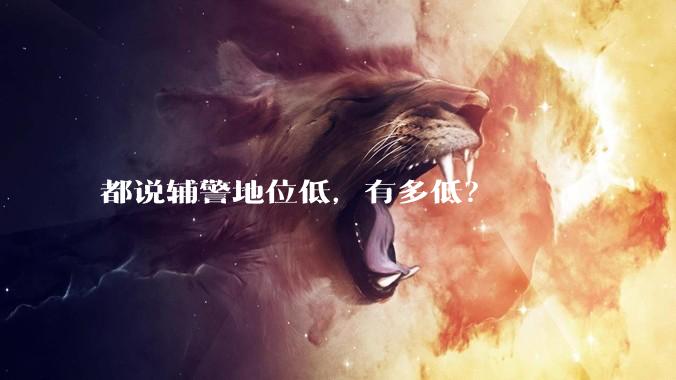 都说辅警地位低，有多低？