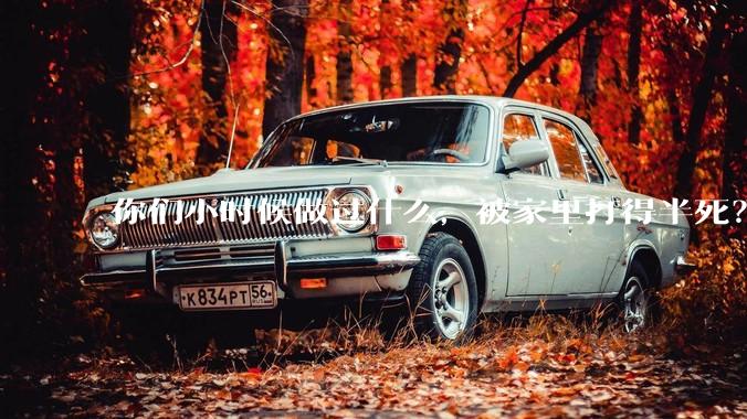 你们小时候做过什么，被家里打得半死？