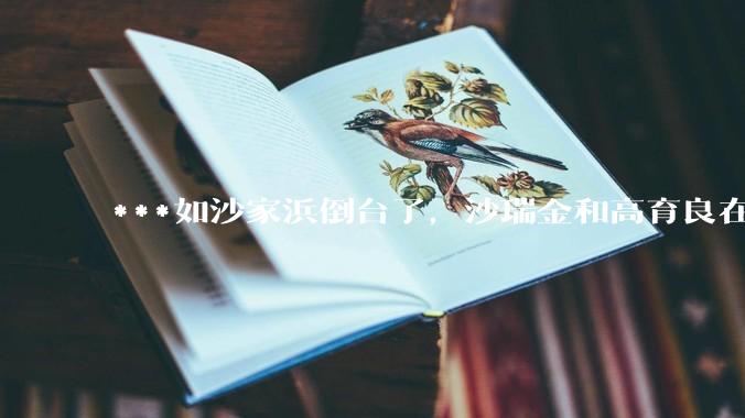 ***如沙家浜倒台了，沙瑞金和高育良在监狱重逢，两人会说些什么？